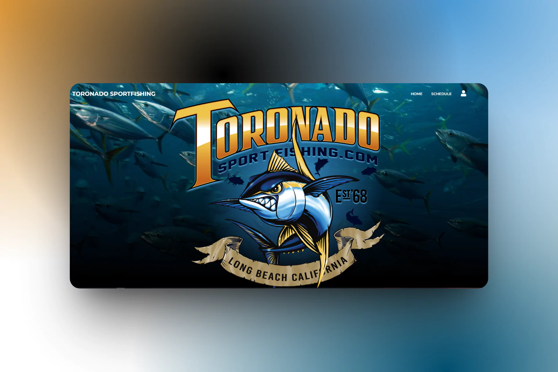 toronado sport fishing